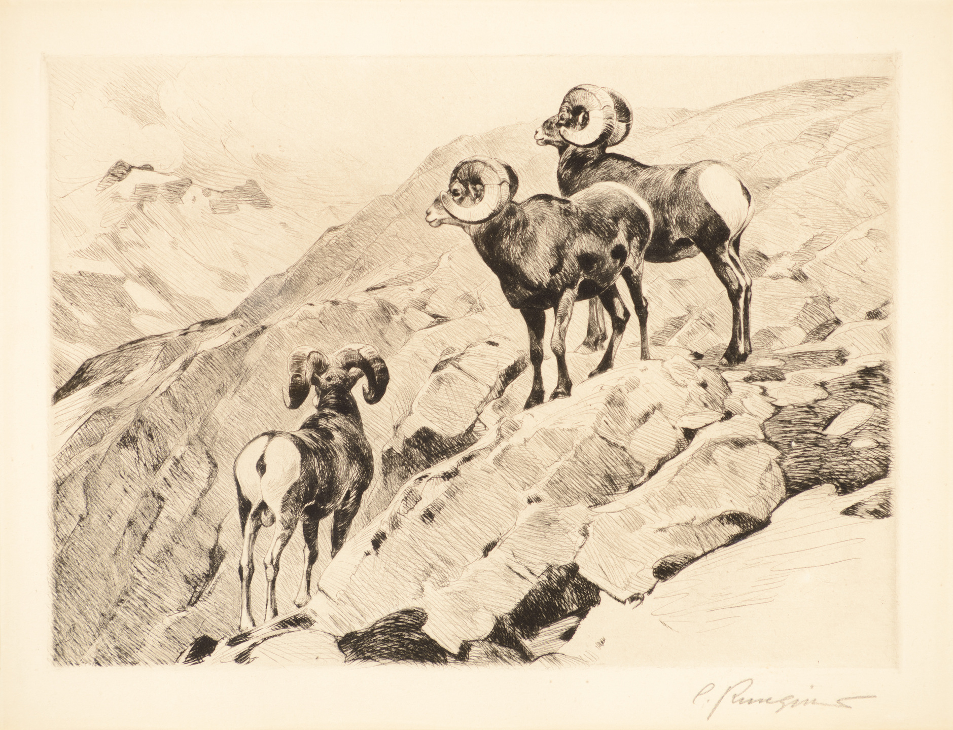 Coeur d’Alene Art Auction – Carl Rungius, Cliff Dwellers (sketch)