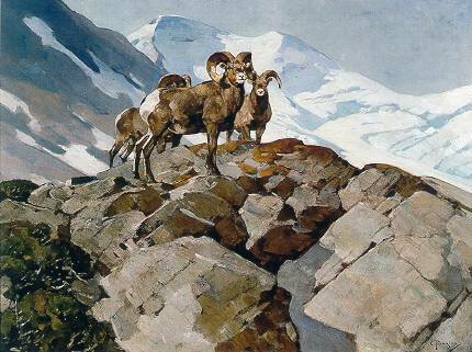 Coeur d’Alene Art Auction – Carl Rungius Auction Results